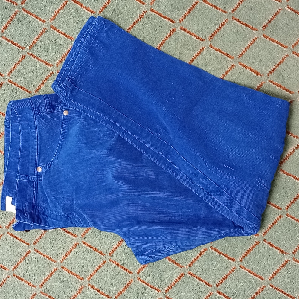 Women's corduroy skinny pants